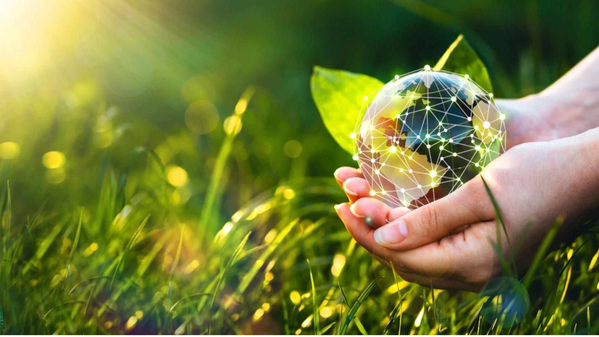 Dynamischer Strompreis und erneuerbare Energien